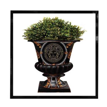 Blackurn Medusa Front Blk W