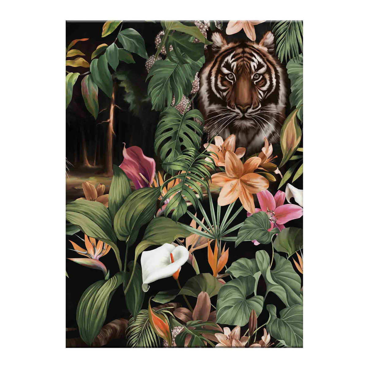 Dusky Tiger Front C W