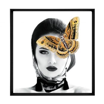 Sienna Butterfly Main