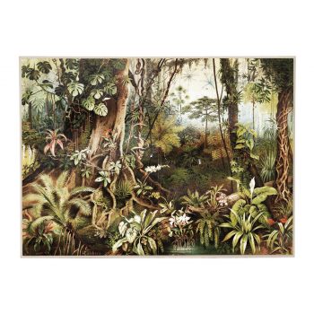 Vintage Jungle Main