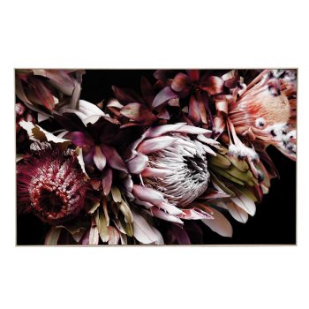 Wine Protea Main
